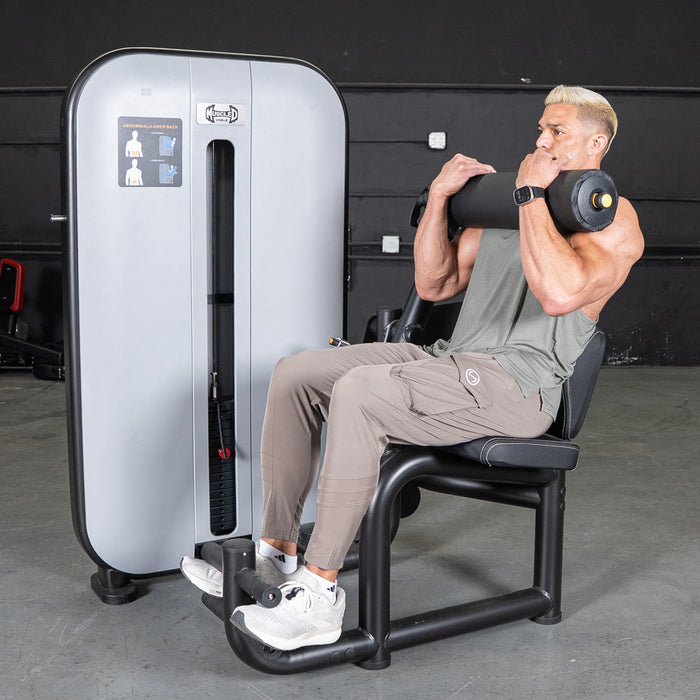 Vogue AB/Back Combo - Muscle D Fitness - Adjustable - Pin Selectorized - Abdominal Back Workouts - Sweatfully