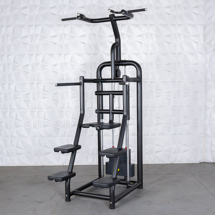 Vogue Assisted Chin/Dip - Muscle D Fitness - Adjustable - Pin Selectorized - Back Tricep Combo - Sweatfully