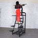 Vogue Assisted Chin/Dip - Muscle D Fitness - Adjustable - Pin Selectorized - Back Tricep Combo - Sweatfully
