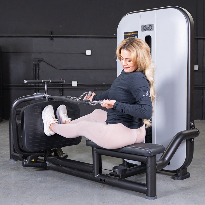 Vogue Diverging Low Row- Seated - Pin Selectorized - Lats Delts Rhomboids Traps Workout - Sweatfully