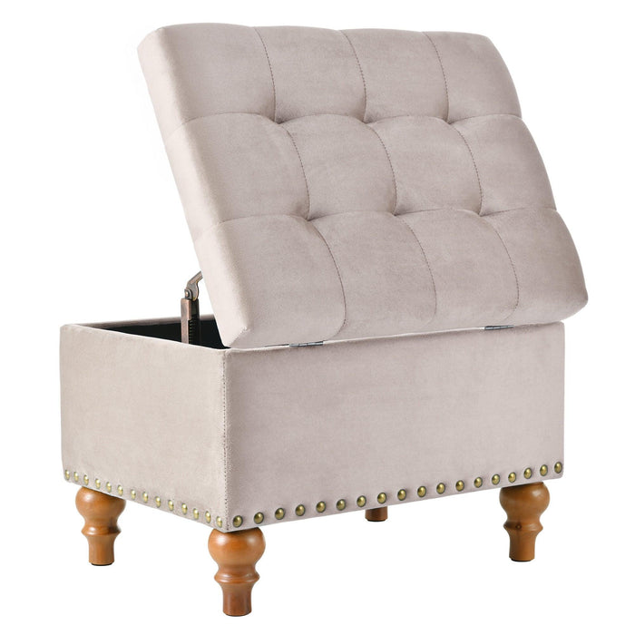23" Square Velvet Upholstered Storage Ottoman - Sweatfully
