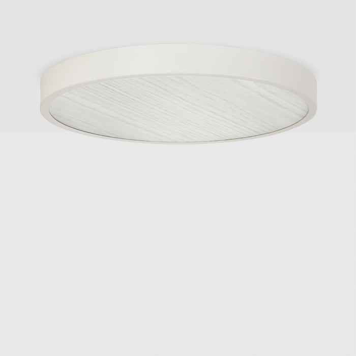 Large Canopy in Oak - Sweatfully