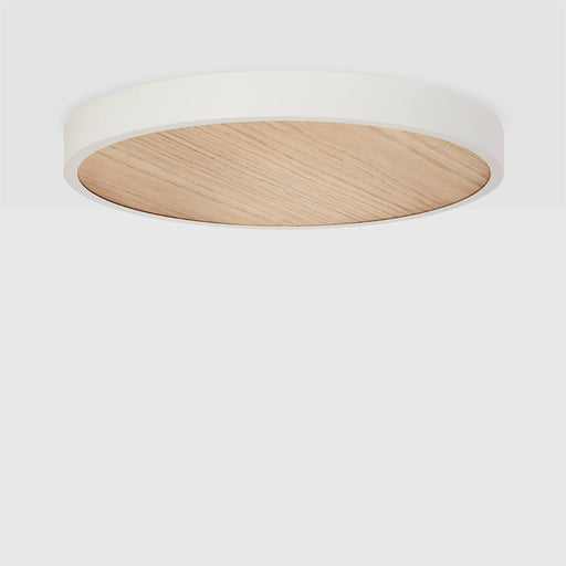 Large Canopy in Oak - Sweatfully