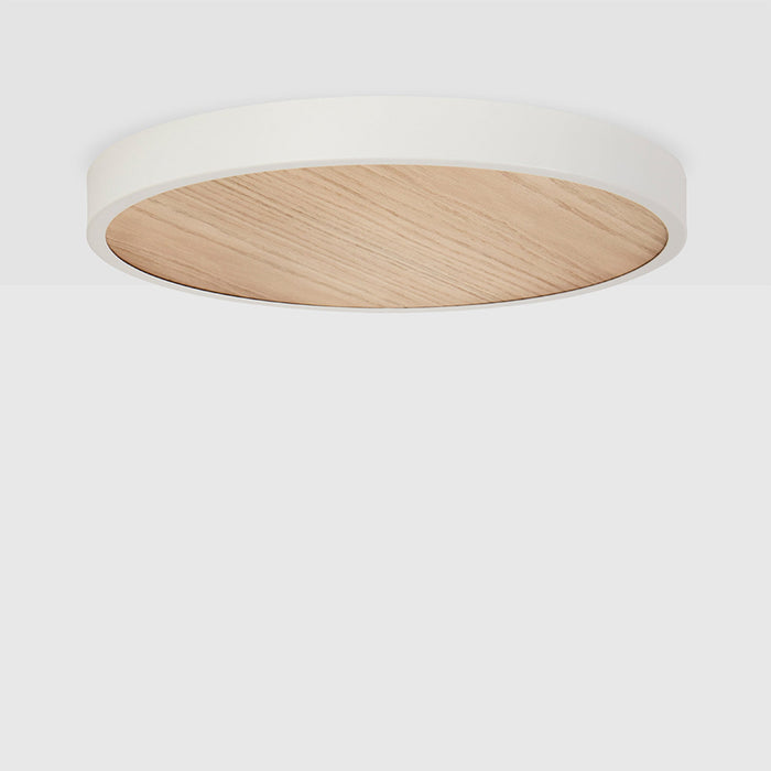 Large Canopy in Oak - Sweatfully