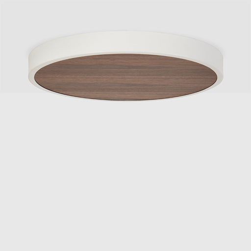 Large Canopy in Walnut - Sweatfully