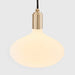 Oval II Plug-In Pendant in Brass - Sweatfully