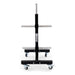 Bumper Plate Storage Tree - Olympic - Sweatfully