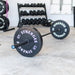 Synergee Bumper Plates - Sweatfully