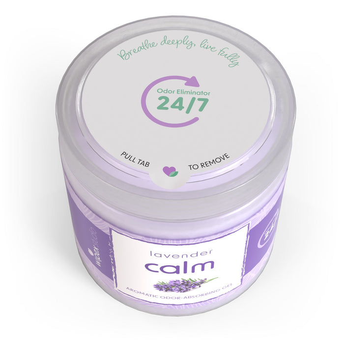Wipex® Studio Smokeless Natural Odor Eliminator for Yoga & Wellness Spaces - Sweatfully