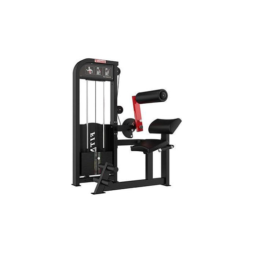 SFE Commercial Abdominal Crunch with 250lb Weight Stacks (New) - Sweatfully