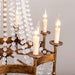 Chappell 8-Light Rustic Gold Candle Style Empire Chandelier - Sweatfully