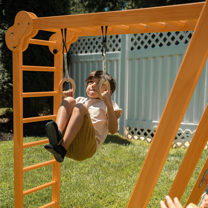 Chestnut 8-in-1 Jungle Gym for Toddlers | Indoor & Outdoor Wooden Playset - Sweatfully