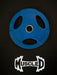 RUBBER COATED COLORED OLYMPIC PLATES: Rubber Plates, per Pair - Muscle D Fitness - Weights Pairs - Sweatfully