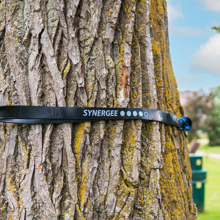 Synergee Resistance Power Bands - Sweatfully