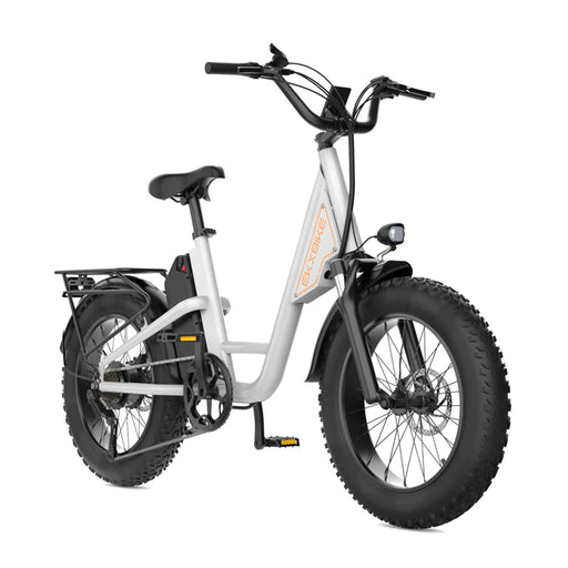 EKX L1 1000W 48V/15.6AH Electric Mountain Fat Tire Bike, 20" (SAK27491) - Sweatfully