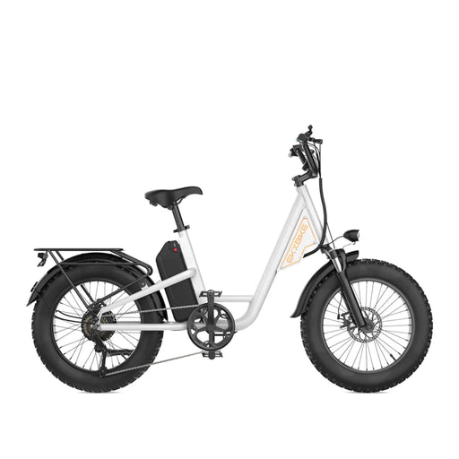 EKX L1 1000W 48V/15.6AH Electric Mountain Fat Tire Bike, 20" (SAK27491) - Sweatfully