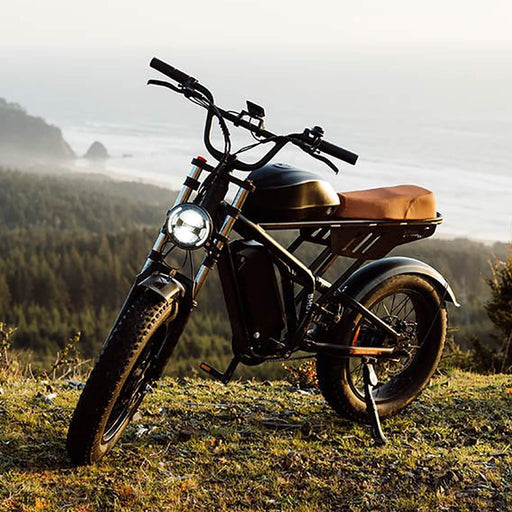 Freego Shotgun Flash F3 Pro Max Electric Dual Motor Bike, 1000W (SAK41583) - Sweatfully