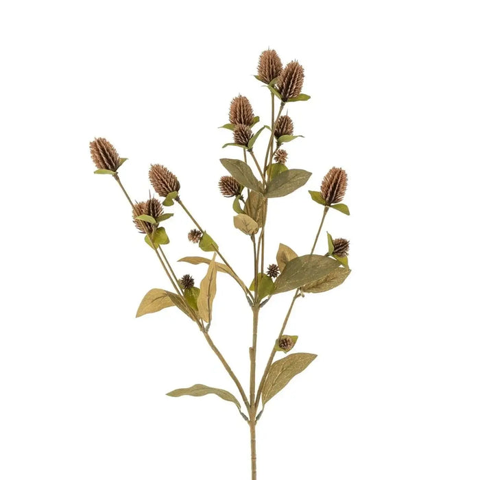 Globe Amaranth Spray - Sweatfully