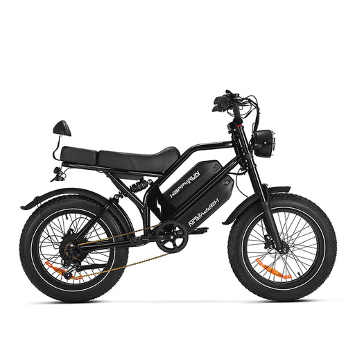 HappyRun G70 Long Distance Dual Battery Electric Fat Tire Cargo Bike, 1000W (SAK81369) - Sweatfully