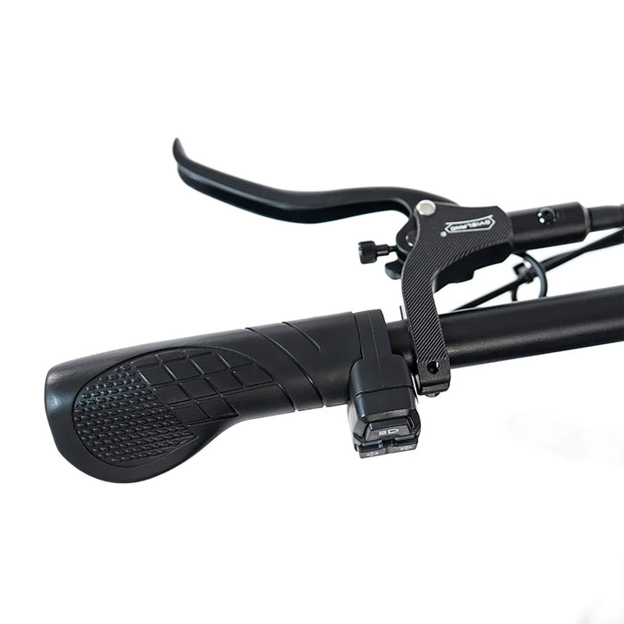 HappyRun G70 Long Distance Dual Battery Electric Fat Tire Cargo Bike, 1000W (SAK81369) - Sweatfully