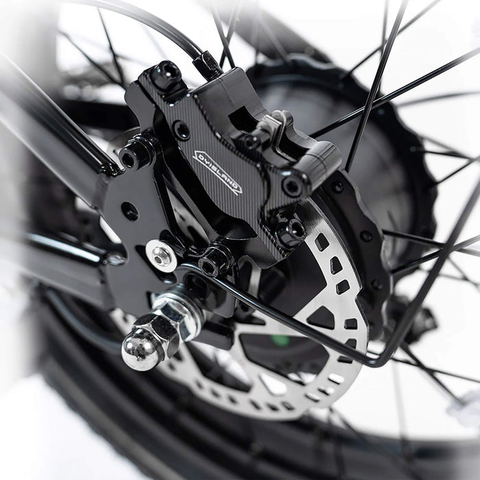 HappyRun G70 Long Distance Dual Battery Electric Fat Tire Cargo Bike, 1000W (SAK81369) - Sweatfully