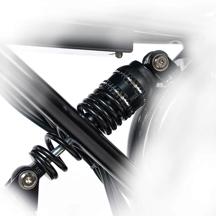 HappyRun G70 Long Distance Dual Battery Electric Fat Tire Cargo Bike, 1000W (SAK81369) - Sweatfully