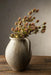 Globe Amaranth Spray - Sweatfully