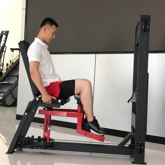 SFE Commercial Inner & Outer Thigh Machine (New) - Sweatfully