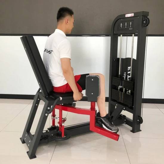 SFE Commercial Inner & Outer Thigh Machine (New) - Sweatfully