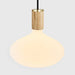 Oval II Pendant Light in Oak - Sweatfully