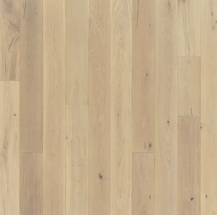 Chateau Engineered Hardwood Flooring Collection - Sweatfully