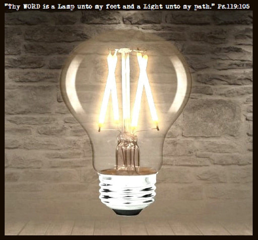 LED Edison Style 6 watt Light Bulb for Mason Jar Lighting - 60 watts Equivalent - Sweatfully