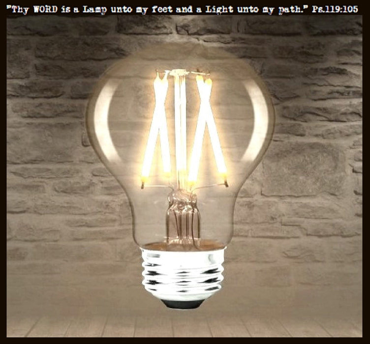 LED Edison Style 6 watt Light Bulb for Mason Jar Lighting - 60 watts Equivalent - Sweatfully
