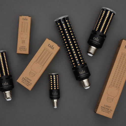 Light Engine I E12 Dim-to-Warm LED Bulb - Sweatfully