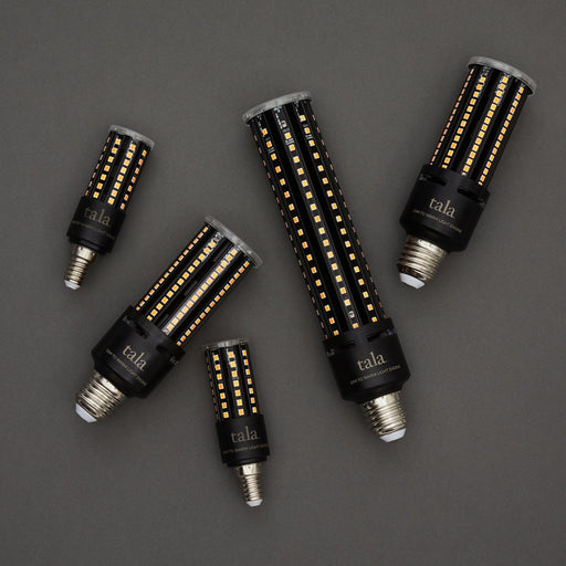 Light Engine III E26 Dim-to-Warm LED Bulb - Sweatfully