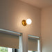 Lochan Wall Light in Brass + Sphere III - Sweatfully