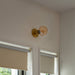 Lochan Wall Light in Brass + Voronoi I - Sweatfully