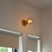 Lochan Wall Light in Brass + Voronoi I - Sweatfully