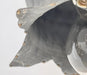 Lotus Farmhouse Wall Sconce Light - Sweatfully