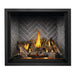 Napoleon Elevation X 42 Direct Vent Electronic Ignition Propane Gas Fireplace, 44" [EX42N/PTEL] (SAK83652) - Sweatfully