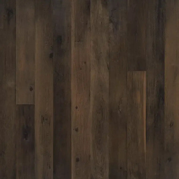 Lake & Shore Engineered Hardwood Flooring Collection - Sweatfully
