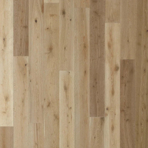 Belmont Hills Engineered Hardwood Flooring Collection - Sweatfully