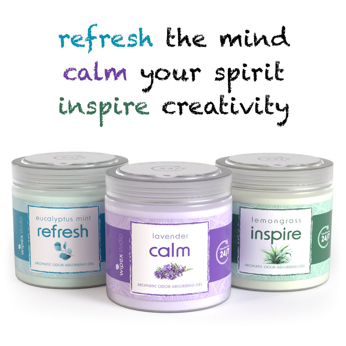Wipex® Studio Smokeless Natural Odor Eliminator for Yoga & Wellness Spaces - Sweatfully