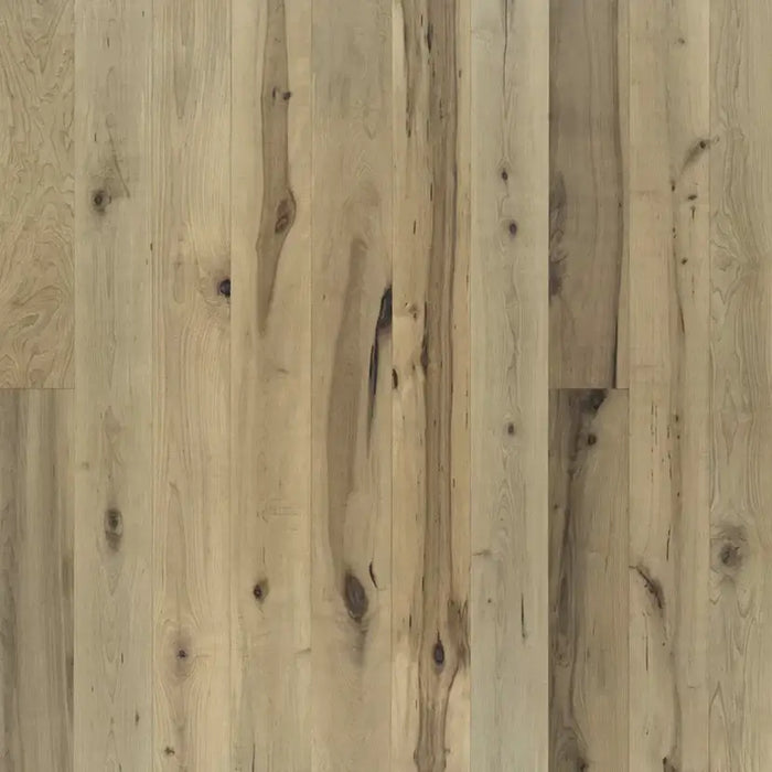 Lake & Shore Engineered Hardwood Flooring Collection - Sweatfully