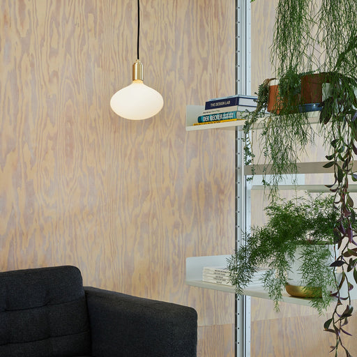 Oval II Pendant Light in Brass - Sweatfully
