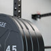 Synergee EZ Grip Bumper Plates - Sweatfully