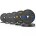 Synergee EZ Grip Bumper Plates - Sweatfully