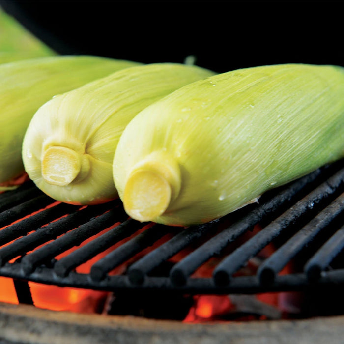 Primo Oval XL 400 Ceramic Kamado BBQ Grill W/ Stainless Steel Grates [PGCXLH] (SAK23100) - Sweatfully