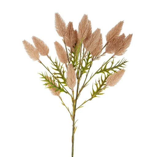 Pussytail  Grass Spray - Sweatfully