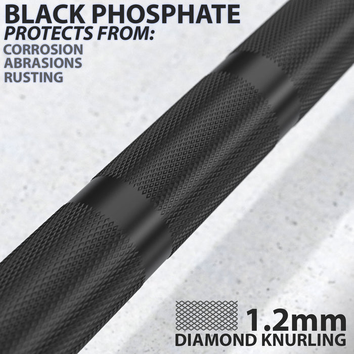 Synergee Regional Barbell - Sweatfully